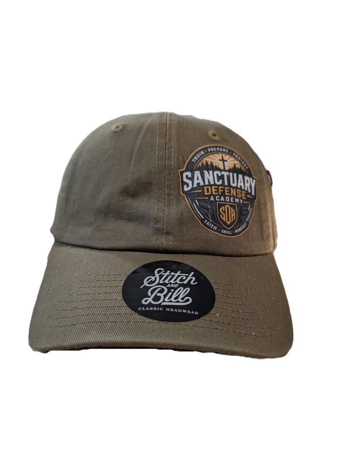 Sanctuary Defense Academy Dad Hat image